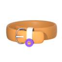 پیش‌نمایش فایل pet-belt-11933775 از پک مراقبت از حیوانات خانگی