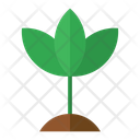 پیش‌نمایش فایل plant-8188416 از پک ترکیبی