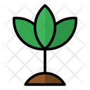 پیش‌نمایش فایل plant-8188206 از پک ترکیبی
