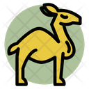پیش‌نمایش فایل camel-11308531 از پک رمضان