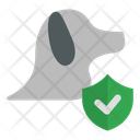 پیش‌نمایش فایل protection-12085003 از پک فروشگاه حیوانات خانگی
