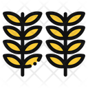 پیش‌نمایش فایل wheat-12573137 از پک اکتبرفست