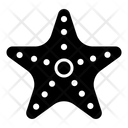 پیش‌نمایش فایل starfish-7467630 از پک حیوان