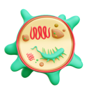 پیش‌نمایش فایل bacteria-8355816 از پک سلامت و پزشکی