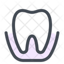 پیش‌نمایش فایل tooth-care-5187635 از پک دندان‌پزشکی