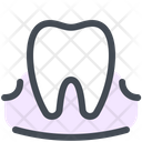 پیش‌نمایش فایل tooth-gum-5187680 از پک دندان‌پزشکی