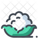 پیش‌نمایش فایل cauliflower-1435097 از پک سبزیجات