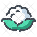 پیش‌نمایش فایل cauliflower-1435098 از پک سبزیجات