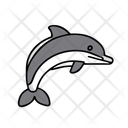 پیش‌نمایش فایل dolphin-12237964 از پک تابستان