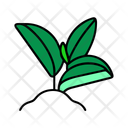 پیش‌نمایش فایل palm-leaf-12238060 از پک تابستان