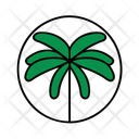 پیش‌نمایش فایل palm-leaf-12238064 از پک تابستان