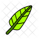 پیش‌نمایش فایل palm-leaf-12238101 از پک تابستان