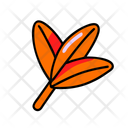 پیش‌نمایش فایل palm-leaf-12238102 از پک تابستان