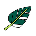 پیش‌نمایش فایل palm-leaf-12238156 از پک تابستان