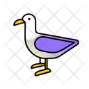 پیش‌نمایش فایل seagull-12238062 از پک تابستان