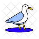 پیش‌نمایش فایل seagull-12238089 از پک تابستان