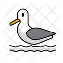 پیش‌نمایش فایل seagull-12238116 از پک تابستان