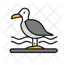 پیش‌نمایش فایل seagull-12238117 از پک تابستان
