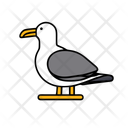 پیش‌نمایش فایل seagull-12238123 از پک تابستان