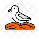 پیش‌نمایش فایل seagull-12238124 از پک تابستان