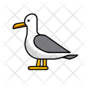 پیش‌نمایش فایل seagull-12238141 از پک تابستان