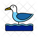 پیش‌نمایش فایل seagull-12238177 از پک تابستان