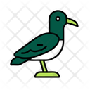 پیش‌نمایش فایل seagull-12238186 از پک تابستان