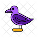 پیش‌نمایش فایل seagull-12238188 از پک تابستان