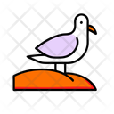 پیش‌نمایش فایل seagull-12238193 از پک تابستان