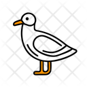 پیش‌نمایش فایل seagull-12238196 از پک تابستان
