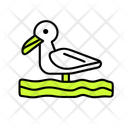 پیش‌نمایش فایل seagull-12238198 از پک تابستان
