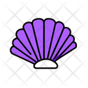 پیش‌نمایش فایل seashell-12238002 از پک تابستان