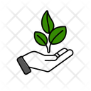 آیکن