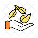 آیکن