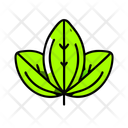 پیش‌نمایش فایل leaf-12270668 از پک حفاظت از محیط‌زیست، بخش ۶