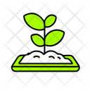 پیش‌نمایش فایل seedling-12271320 از پک حفاظت از محیط‌زیست، بخش ۹