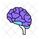 پیش‌نمایش فایل brain-12278142 از پک سلامت و پزشکی، بخش ۲