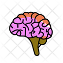 پیش‌نمایش فایل brain-12278144 از پک سلامت و پزشکی، بخش ۲