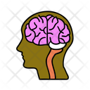 پیش‌نمایش فایل brain-12278145 از پک سلامت و پزشکی، بخش ۲