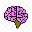 پیش‌نمایش فایل brain-12278146 از پک سلامت و پزشکی، بخش ۲