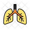 پیش‌نمایش فایل lungs-12278315 از پک سلامت و پزشکی، بخش ۴