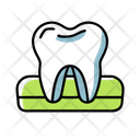 پیش‌نمایش فایل tooth-12278643 از پک سلامت و پزشکی، بخش ۷