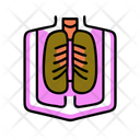 پیش‌نمایش فایل x-ray-12278677 از پک سلامت و پزشکی، بخش ۷