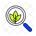 پیش‌نمایش فایل organic-traffic-12280479 از پک سئو، بخش ۳