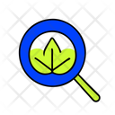 پیش‌نمایش فایل organic-traffic-12280484 از پک سئو، بخش ۳