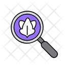 پیش‌نمایش فایل organic-traffic-12280486 از پک سئو، بخش ۳