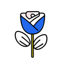 آیکن
