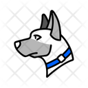 پیش‌نمایش فایل police-dog-12515396 از پک جرم و امنیت، بخش ۳