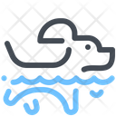 پیش‌نمایش فایل dog-swimming-1640964 از پک حیوان خانگی