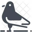 پیش‌نمایش فایل pigeon-1672208 از پک تابستان